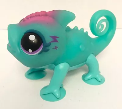 Little Live Pets BRIGHT LIGHT CHAMELEON Interactive Figure Pet Teal Aqua H9 • $16.97