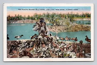 Postcard Trained Ducks Lost Lake Miami Florida FL Vintage Linen D2 • $4.49