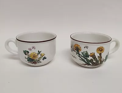 Set Of 2 Villeroy & Boch Botanica Teacup Coffee Mugs Tussilago Farfara • $20