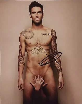 Adam Levine - Maroon 5 - Signed 8X10 • $225