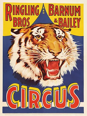 VINTAGE RINGLING BROS. BARNUM AND BAILEY TIGER HEAD CIRCUS POSTER 24x18 9MIL • $26.95