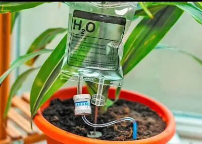 Automatic Self Watering System IV Drip Bag Plant Life Support Drip Irrigation 🌱 • $13.99