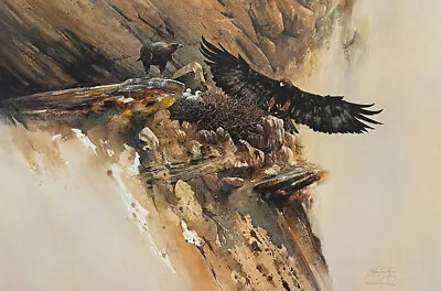 Morten E. Solberg - Monarch Of The Sky Golden Eagle - 20/20 PP Ltd Edition • $185