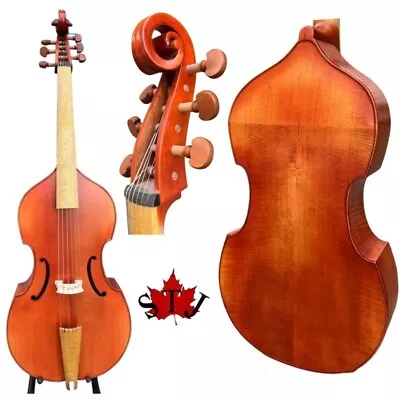 SONG Brand Maestro Viola Da Gamba 6 String 29  Bass Viola Type Viol #15776 • $799