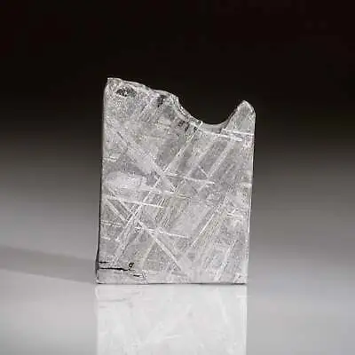 Genuine Muonionalusta Meteorite Slice (7.5 Grams) • $300