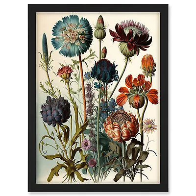 Vintage Botanical Illustration Haeckel Inspired Framed Wall Art Picture Print A3 • $33.28