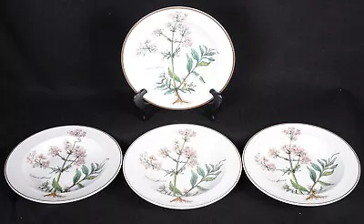 4 Villeroy & Boch Botanica Valieriana Officinalis W Roots Rimmed Soup Bowls • $79