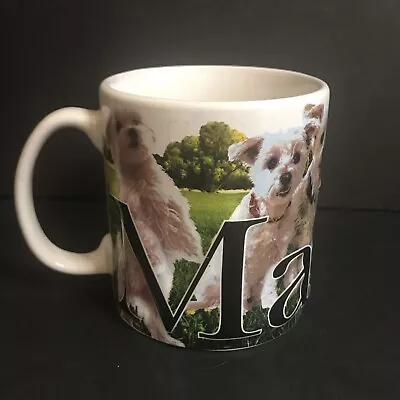 MALTESE Coffee Mug 16 Oz White Puppy Dog 2014 Americaware Collection Tea Cup USA • $10.50