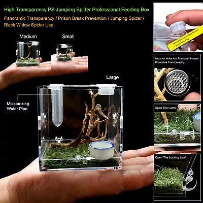 Glass Nano Habitat Small Reptile Vivarium Stackable Spider Insect Tank • $12.96