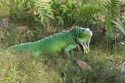 Display Wildlife Lizard Iguana Garden Statue Home Garden Reptile Decoration • £127.39