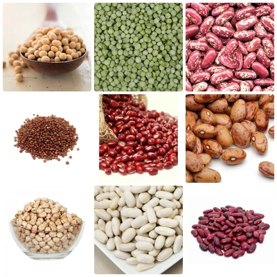 £38.99 • Buy Organic Gluten Free Lentils Pulses Sprouting Seeds Healthy Protein VEGAN Legumes
