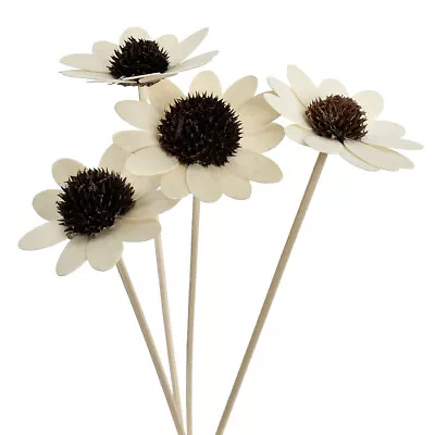 $3.29 • Buy 5PCS 6.5CM Daisy Dried Flower Aroma Rattan Stick Fragrance Reed Diffuser Refill