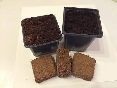 £8.80 • Buy Coir Compost Blocks For 9X9X8 & 9X9X10 Pots - Seeds/Cuttings Expands In A Jiffy