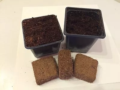 Coir Compost Blocks For 9X9X8 & 9X9X10 Pots - Seeds/Cuttings Expands In A Jiffy • £8.80