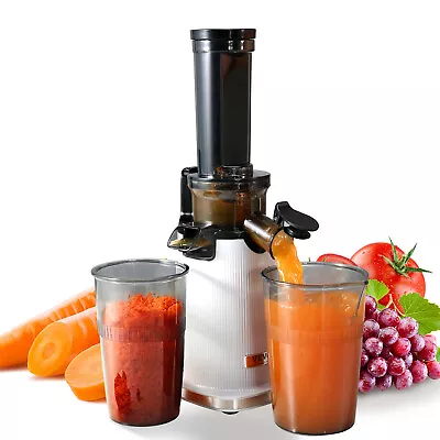 VEVOR Masticating Slow Juicer Machine Electric Cold Press Squeezer Vegetable • $39.99