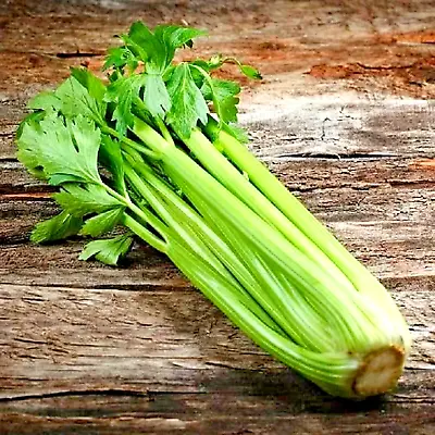 1000+ Tall Celery Seeds Spring Garden Vegetable Hardy Tasty Heirloom Non-gmo Us • $2.99