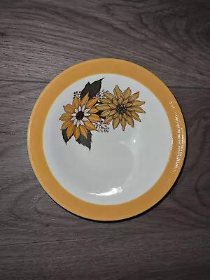 Vintage 1960's Tanya SIDE PLATES By Barratts Of Staffordshire - 18cm • £2