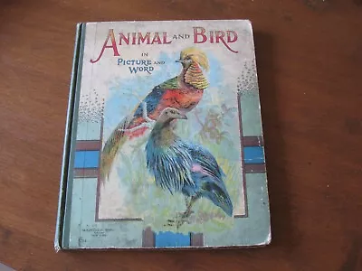 Antique Book ANIMAL And BIRD In PICTURE And WORD McLOUGHLIN BROS Engravings ETC • $69.99