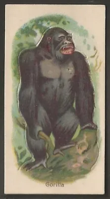 Ogdens Overseas-animals 1912 (tabs+captions)-#21- Gorilla • £4.99