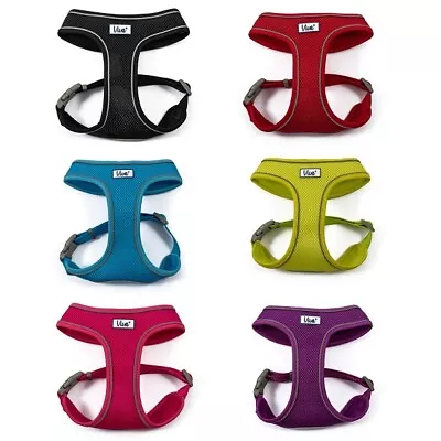 Ancol Comfort Dog Harness Viva Adjustable Soft Padded Puppy Breathable Air Mesh • £11.29