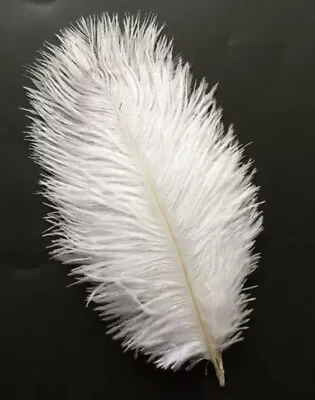 5pcs White Ostrich Feathers 20-25cm DIY Craft Millinery Decor Costume Wedding • $5.95