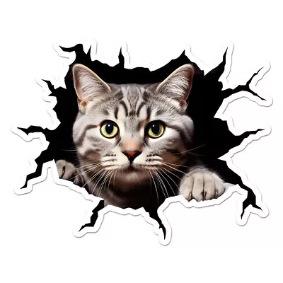 Peeking Cat Kitten Vinyl Decal Sticker - Ebn11077 • $3.45