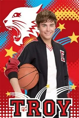 HIGH SCHOOL MUSICAL POSTER Zac Efron Troy NEW 1218 - 2 • £9.62