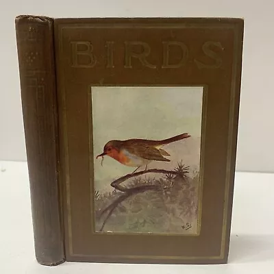 £7.29 • Buy Birds Shown To The Children (The Shown To The Children Series Ed. Louey Chi E2