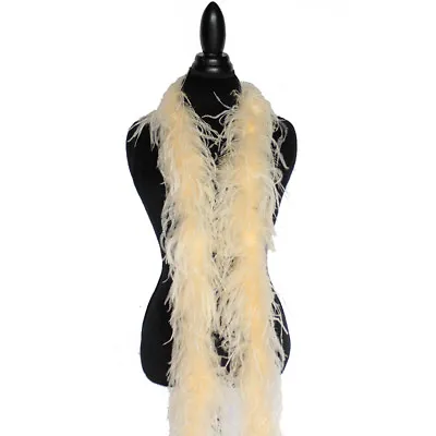 $61.95 • Buy Champagne 2ply Ostrich Feather Boa Scarf Prom Halloween Costumes Dance Decor