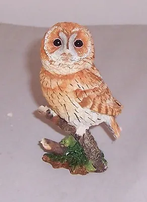 Country Artists Birds Of Tawny Owl • £28.99