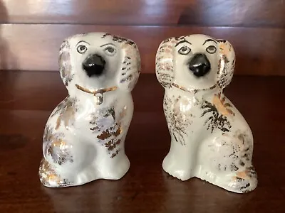 Pair Of Mini Staffordshire Wally Dogs 3 Inches • £25