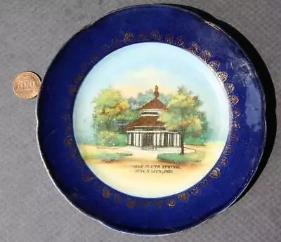 1900s Era French Lick Springs Indiana Pluto Water Spa Wheelock Flow Blue Plate-- • $119.88