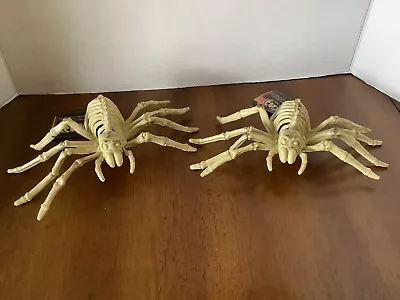 Halloween Skeleton Large Spider Scary Plastic Halloween Decor • $18