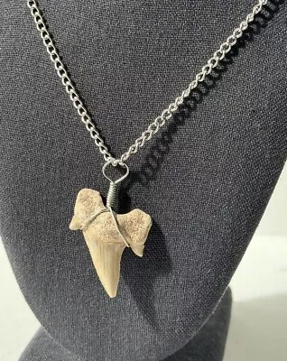 1.5 “ Shark Tooth Necklace For Men On Chain Genuine Shark Tooth Pendant • $15