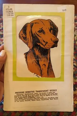 Vintage Lab Retriever Hunting 1970s Dog Art Decal RARE!! • $20