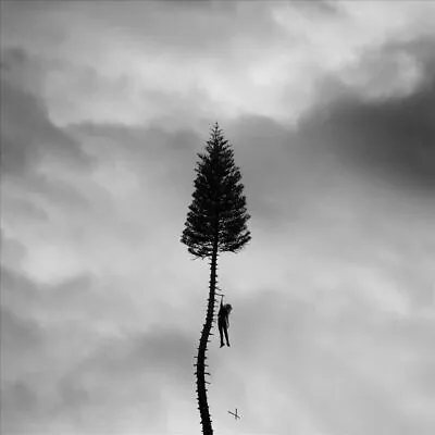 Manchester Orchestra Black Mile To The Surface New Cd • $13.15