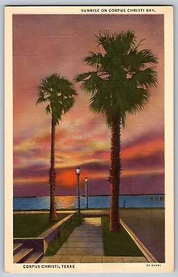 Corpus Christi Texas TX - Sunrise On Corpus Christi Bay - Vintage Postcard • $5.94