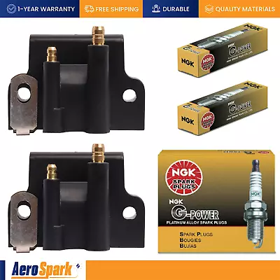 2x NGK Spark Plugs & Ignition Coils For Johnson Evinrude 582508 512227 18-5179 • $85.64