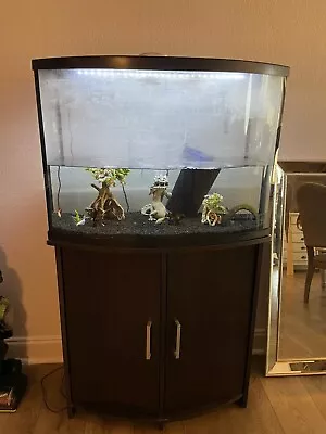 Bow Front Fish Tank 35 Gallons With Hood Cabinet And Lots Of Accessories • $100