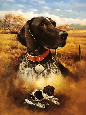 Larry Chandler German Shorthair Hunting Dog Art Print 18 X 24 • £19.23