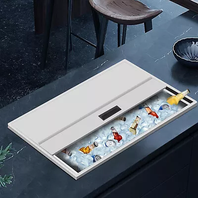 Cocktails Ice Bin Dinner Party Ice Chest W/ Cover 304 Stainless Steel Ice Chest • $270.75