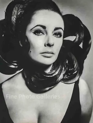 $248.14 • Buy 1964 ELIZABETH TAYLOR Movie Actress RICHARD AVEDON Large Duotone Photo Art 16x20