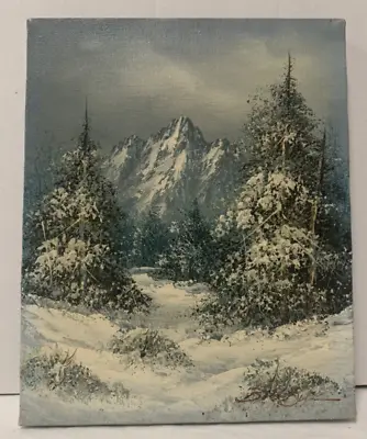 Signed 8 X 10 Oil On Canvas Snowcap Mountains Winter Scene Oil Painting Unframed • $42