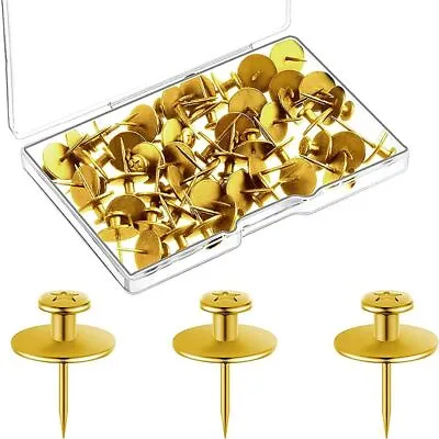 Stainless Steel Push Pins Double Headed Painting Hooks Decorative Nails • £7.56