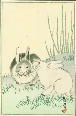 Nishimura Hodo Japanese Woodblock Print - Two Rabbits - 1930s RARE - AS-IS • $50