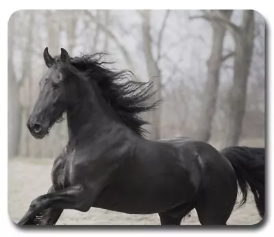 Black Stallion Horse Mustang ~ Mouse Pad / Mousepad ~ Animal Lover Great Gift • $8.95