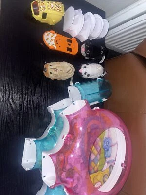 £12 • Buy Zhu Zhu Pet Bundle 