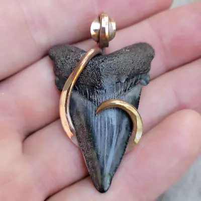 1 1/2   Copper Wrapped Megalodon Shark Tooth Pendant Necklace Teeth • $70