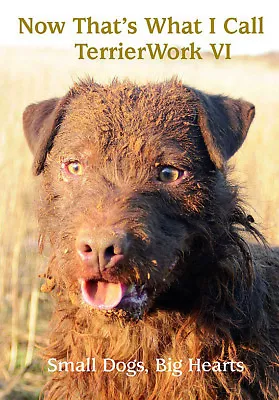 DARCY JONATHAN TERRIERS BOOK NOW THATS WHAT I CALL TERRIER WORK 6 VI SIX New • £22.95