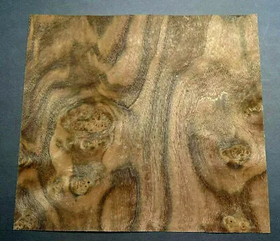  Walnut Burl Raw Wood Veneer Sheet 11.5 X 12.5 Inches 1/42nd Thick     I4681-97 • $14.79